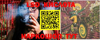 прущие грибы Гусиноозёрск