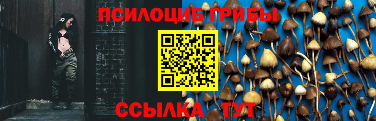 Урай  Галлюциногенные грибы Cubensis  наркошоп  Вход с VPN 